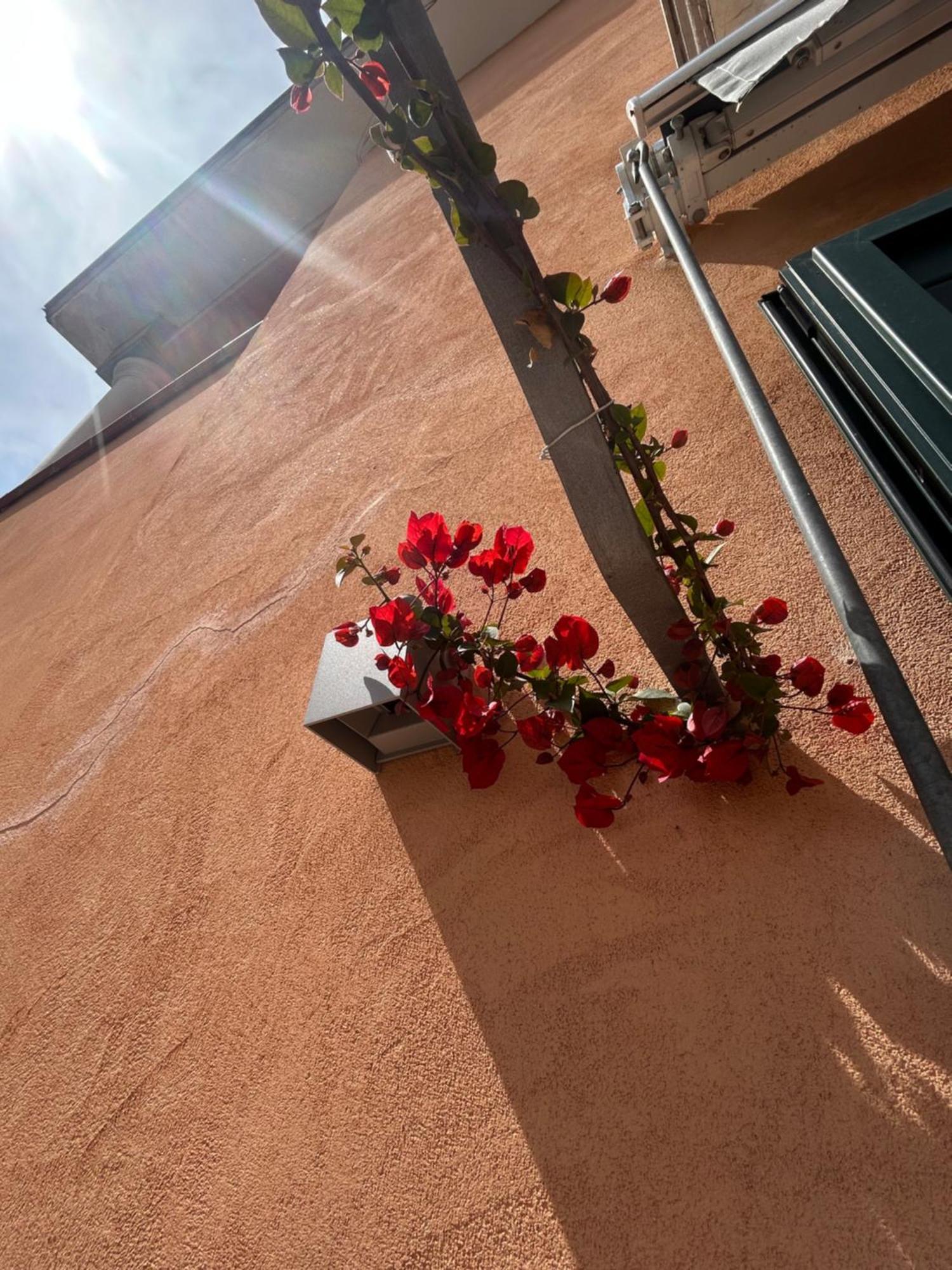 Sissi House Salerno Apartment ภายนอก รูปภาพ